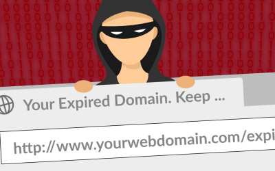 Don’t Let Crooks Hijack Your Domain